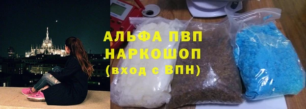 прущие грибы Нягань
