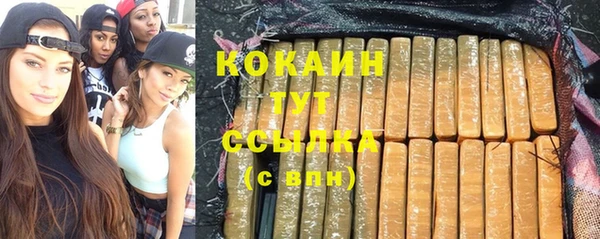 таблы Новозыбков