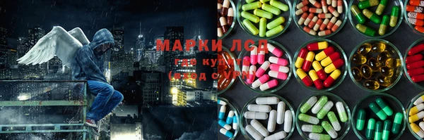 каннабис Новодвинск