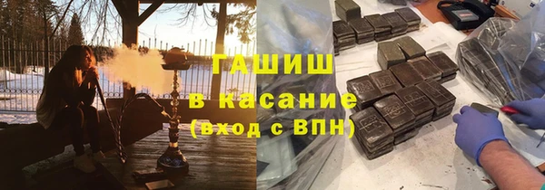 прущие грибы Нягань