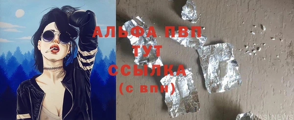 прущие грибы Нягань